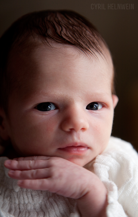 Louisiana Kidd Helnwein (10 days old)